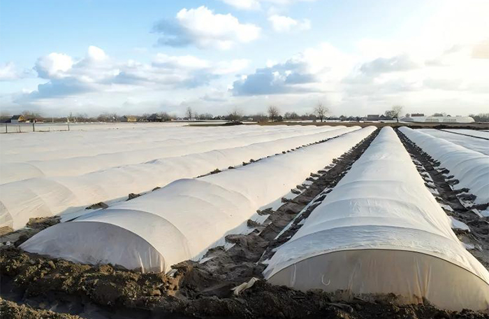 Membranas agr&iacute;colas resistentes al fr&iacute;o y pel&iacute;culas para envolver alimentos